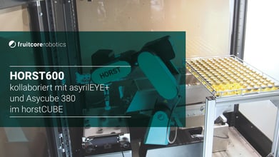 Industrieroboter HORST kollaboriert mit asyril EYE+ & Asycube 380