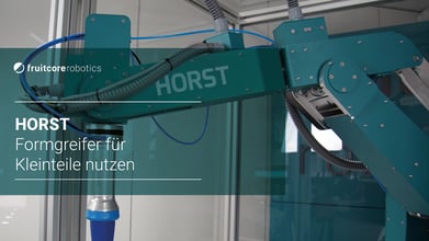 Digital Robot HORST Formgreifer für Kleinteile nutzen