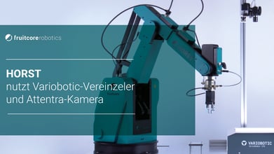Digital Robot HORST nutzt Variobotic-Vereinzeler und Attentra-Kamera