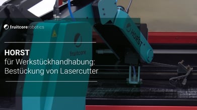 Digital Robot HORST für Werkstückhandhabung Bestückung von Lasercutter