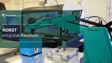 Digital Robot HORST entgratet Kleinteile