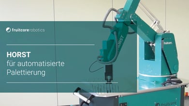 Digital Robot HORST für automatisierte Palettierung