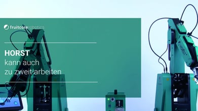 Digital Robots HORST können auch zu zweit arbeiten