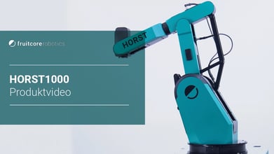 Digital Robot HORST1000