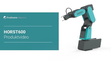 Digital Robot HORST600